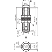 im0053536-2 GRTE18-P1147