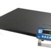 Transcell Guardian Floor Scale 4x4 10,000 lb.